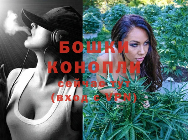 тгк Богородицк