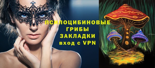 тгк Богородицк